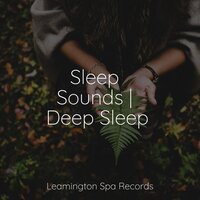 White Noise - Fresh Water Sounds for Inner Peace & Entspannungsmusik Meer & Rain Forest FX