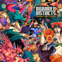 We are Here to Fly - Daksinamurti & Ingrained Instincts