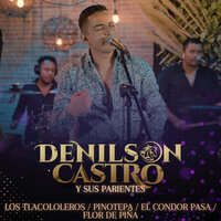 Los Tlacololeros / Pinotepa / El Condor Pasa / Flor de Piña - Denilson Castro y Sus Parientes