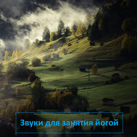 Киты - Nature Sounds & Zen Meditate & Музыка воды & Расслабляющая Музыка для Сна