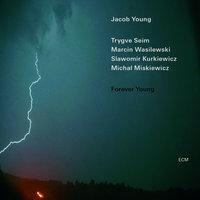 Therese's Gate - Jacob Young & Trygve Seim & Marcin Wasilewski & Slawomir Kurkiewicz & Michal Miskiewicz