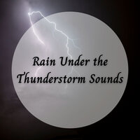 Rain Escape - Rain Sounds For Sleep & Spa Music Experience & Calming Music For Pets