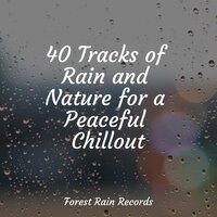 Alley Rain & Wind - Regengeräusche & Rain Sound Plus & Natural Samples