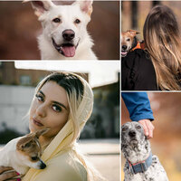 Excellent Chillout Smooth Jazz - Vibe for Calmed Puppies - Dog Music Radio