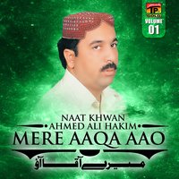 Ya Rasool Allah Pukara - Ahmed Ali Hakim