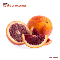 Menta - Bixo
