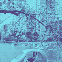 Laid-back Ambiance for Tokyo Jazz Clubs - Classic Jazz