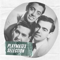While the Record Goes Around - The Playmates