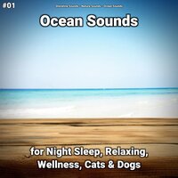 Ocean Sounds Part 75 - shoreline sounds & Nature Sounds & Ocean Sounds