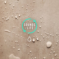 Rain Against Cardboard Box, Pt. 14 - Sounds Of Life