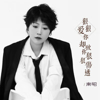 狠狠爱你却被你狠狠伤透 - 南昭