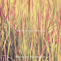 Subtle Ambiance for Spa Days - Relaxing Spa Music Romance