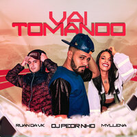 Vai Tomando - Dj Pedrinho & Mc Myllena & DJ Ruan da Vk