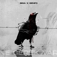 NE GEREK VAR - Senfo & Biga