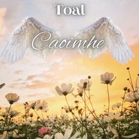 Nightfall - TOAL