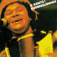 Vou Com Você - Dominguinhos