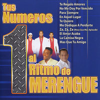 El Amor Acaba - Sergio Vargas