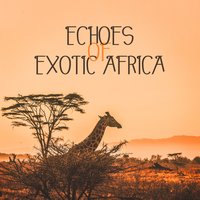 Mystic Touch - African Music Drums Collection