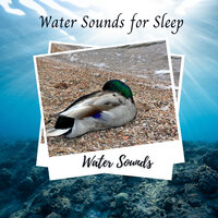 Constant Water Lulls You To Sleep - Sleep Sounds Of Nature & Study Music and Piano Music & Soothing Music
