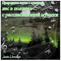 Природные звуки с музыкой: лес в полночь с расслабляющей музыки - Jamie Llewellyn