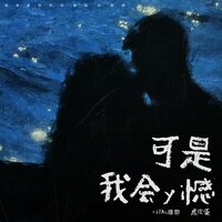 可是我会遗憾 - 虎皮蛋 & Vital维他