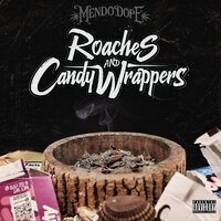 Ash It Before You Pass It - Mendo Dope