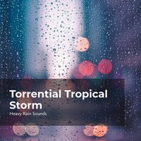 Stormy Day Downpour - Rain Shower Spa & Heavy Rain Sounds & Lullaby Rain