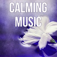 Yoga Music - Dreamer Chill Out Sanctuary