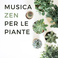 Musica rilassante orientale - Asiatico Zen Spa