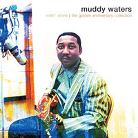 Where's My Woman Been - Muddy Waters & Sunnyland Slim
