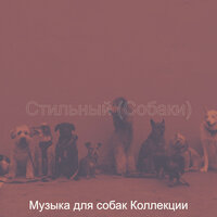 Настроения (Выгул собак) - Музыка для собак Коллекции