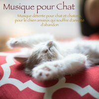 Harpe magique - Les Animaux