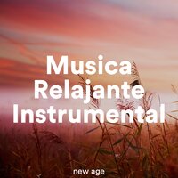 Meditación - Cena Contigo - Soothing Music Ensamble & Protomotivation & Protomotivation & Soothing Music Ensamble