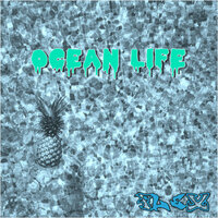 Dive In - Flex