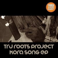 Houdini - Tru Roots Project