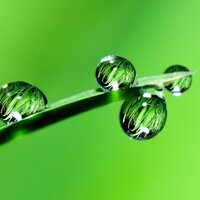 Meditation in the Rain - White Noise Research, Sounds Of Nature : Thunderstorm, Rain, White Noise - Baby Sleep Specialists & White Noise Research & Sounds Of Nature : Thunderstorm, Rain & White Noise - Baby Sleep Specialists