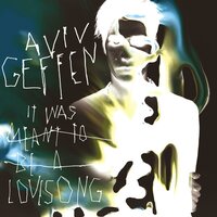 It Was Meant to Be a Love Song - Aviv Geffen & Fuzion