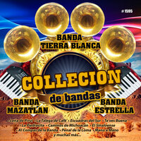 Paloma Errante - Banda Tierra Blanca