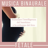Lo sviluppo del feto - Astrid Corpo