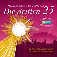 Schöne Weis (2013) - Salzburger Adventsingen & Salzburger Saitenmusikensemble