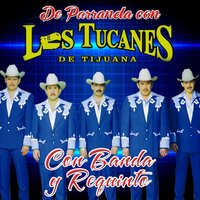 Masacre En Vallarta (Banda y Requinto) - Los Tucanes De Tijuana