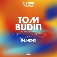 I Like That - Tom Budin & Rhiannon Roze & Russi