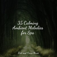 Gentle Guitar Strumming - Música para Massagem Especialistas & Kings of Nature & Exam Study Classical Music Orchestra