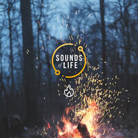 Fire and Crickets, Pt. 16 - Sounds Of Life