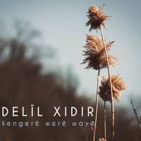 Sevlê - Delil Xıdır