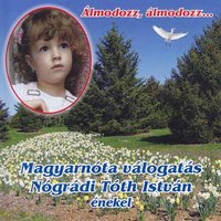 Óhaj Csárdás - István Tóth Nógrádi
