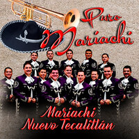 Volver, Volver - Mariachi Nuevo Tecalitlan