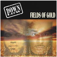 Fields of Gold - Down Low