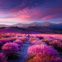 Movimiento Sereno Y Tranquilo - Mi serenidad & Zona naturalmente relajada & Relajarse Meditar Sueño Medios