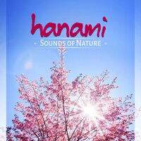 Anxiety Treatment (Rain Sounds) - Nature Sounds Universe
